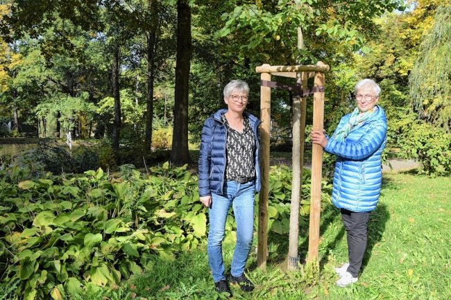 Reichenbacher Stadtpark: Verein wünscht sich mehr Mitstreiter